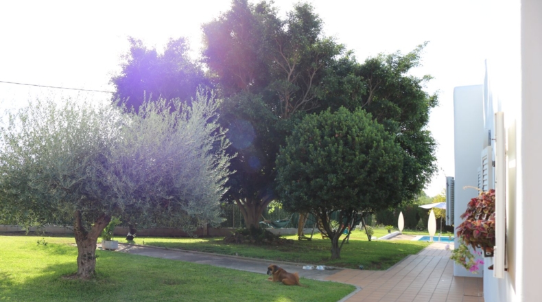Castellon - Benicasim - 3707m2