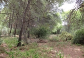Xalet independent amb terreny en venda a Benicàssim ref.: TR340997 foto