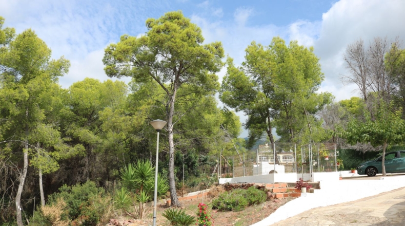 Castellon - Benicasim - 3707m2