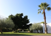 Xalet independent amb terreny en venda a Benicàssim ref.: TR340997 foto