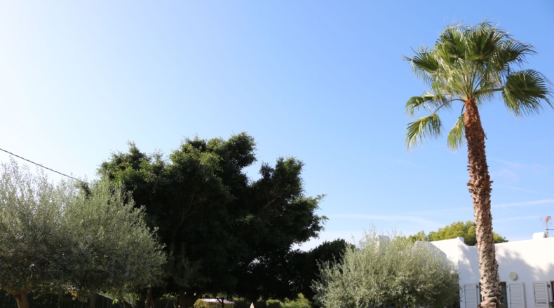 Castellon - Benicasim - 3707m2