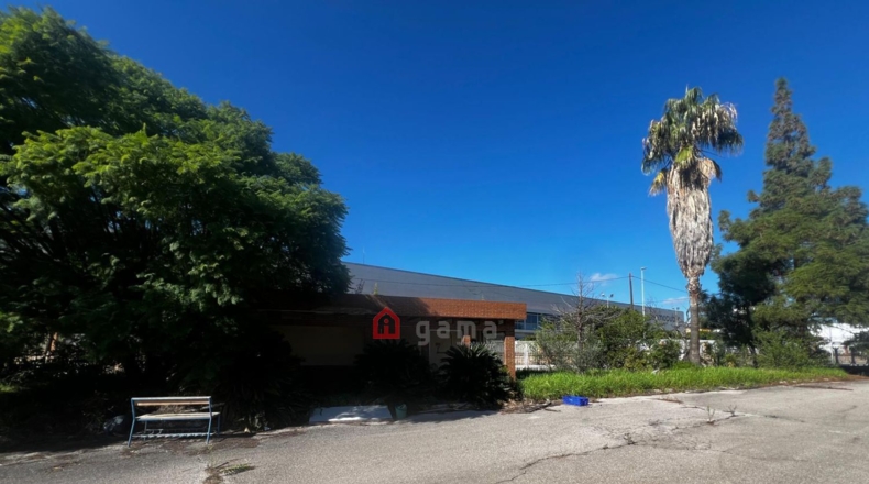 Castellón - Castelló de la Plana - 72000m2