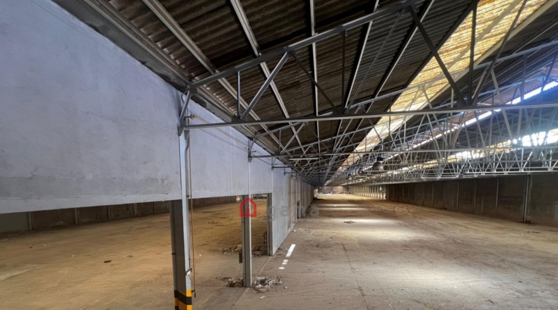 Castellón - Castelló de la Plana - 72000m2