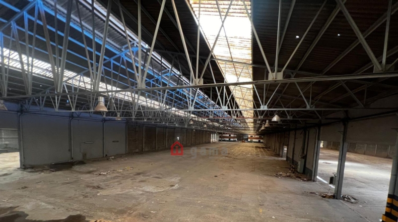 Castellón - Castelló de la Plana - 72000m2