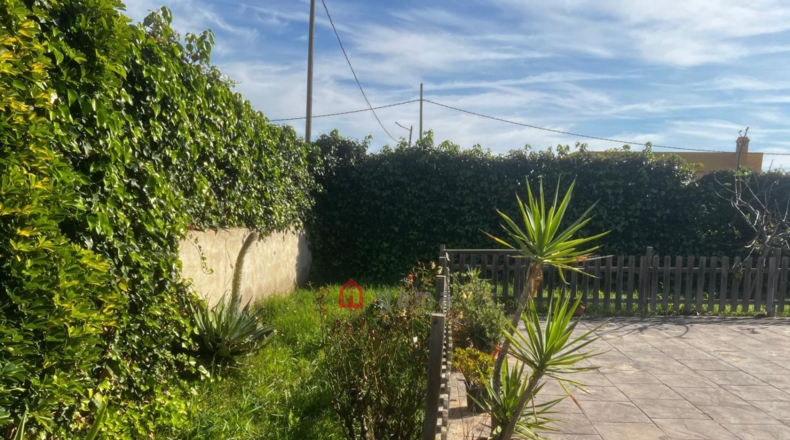 Castellón - Castelló de la Plana - 3550m2