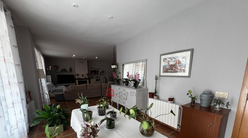 Castellón - Castelló de la Plana - 3550m2
