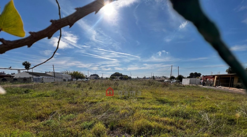 Castellón - Castelló de la Plana - 3550m2
