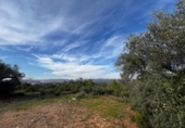Parcel·la urbanitzable en venda a la España, Sant Joan de Moró, ref.: TR360901 foto