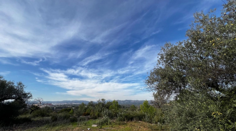 Кастельон - San Juan de Moró - 13132m2