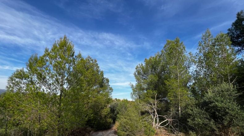 Кастельон - San Juan de Moró - 13132m2