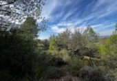 Parcel·la urbanitzable en venda a la España, Sant Joan de Moró, ref.: TR360901 foto