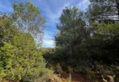 Parcel·la urbanitzable en venda a la España, Sant Joan de Moró, ref.: TR360901 foto