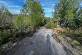 Foto 15