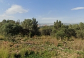 Parcel·la urbanitzable en venda a la España, Sant Joan de Moró, ref.: TR360901 foto