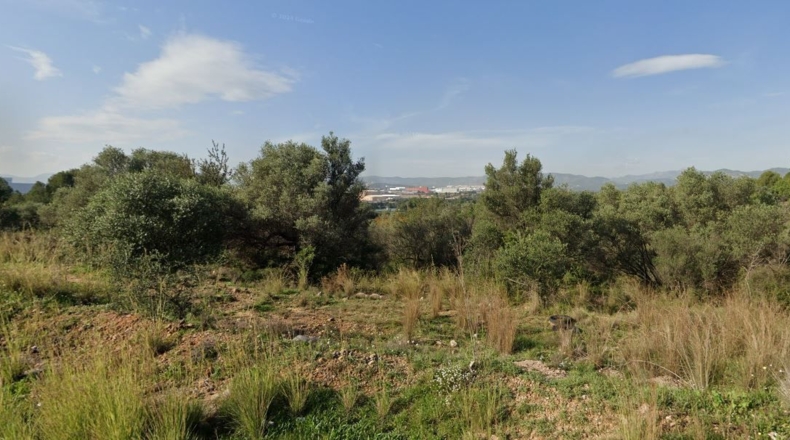 Кастельон - San Juan de Moró - 13132m2