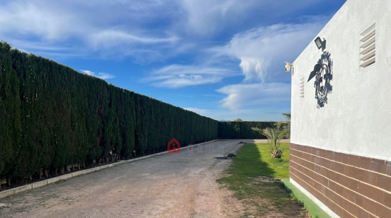 Кастельон - Burriana - 1800m2