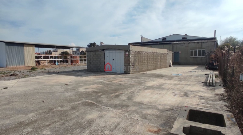 Castellón - Alquerías del Niño Perdido - 4000m2