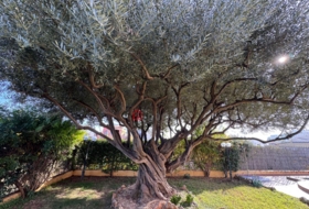 Foto 20