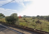 Terreny no urbanitzable en venda a la España, Castelló de la Plana, ref.: TR370127 foto
