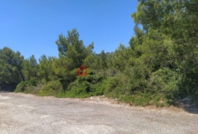Alcalà de Xivert 73400&nbsp;м²