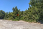 Sòl urbà en venda a Alcalà de Xivert ref.: TR378604 foto