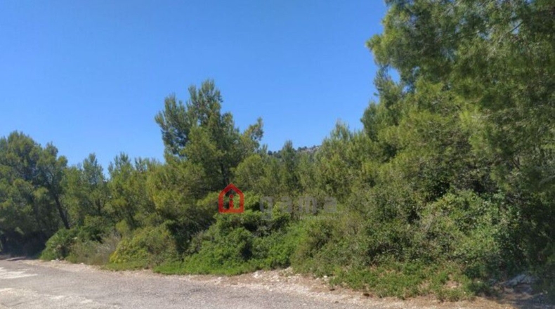 Castellón - Alcalá de Chivert - 73400m2