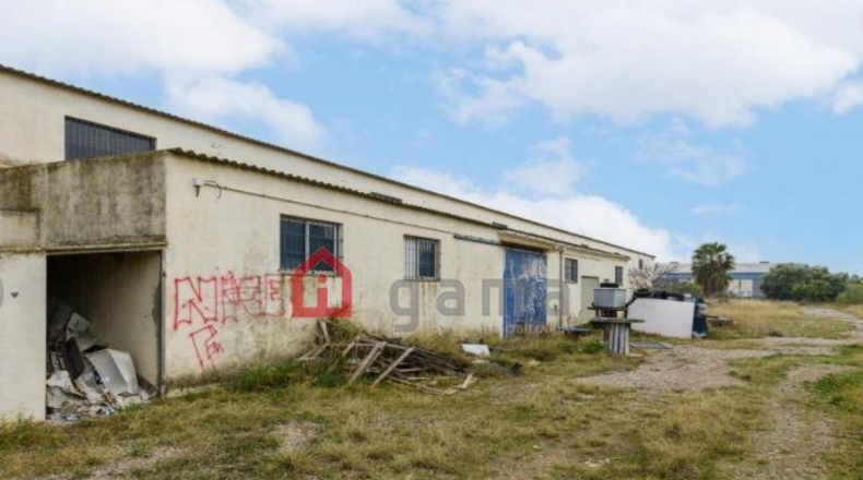 Castellón - Benicarló - 1722m2