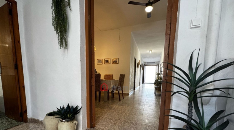 Castellón - Nules - 200m2