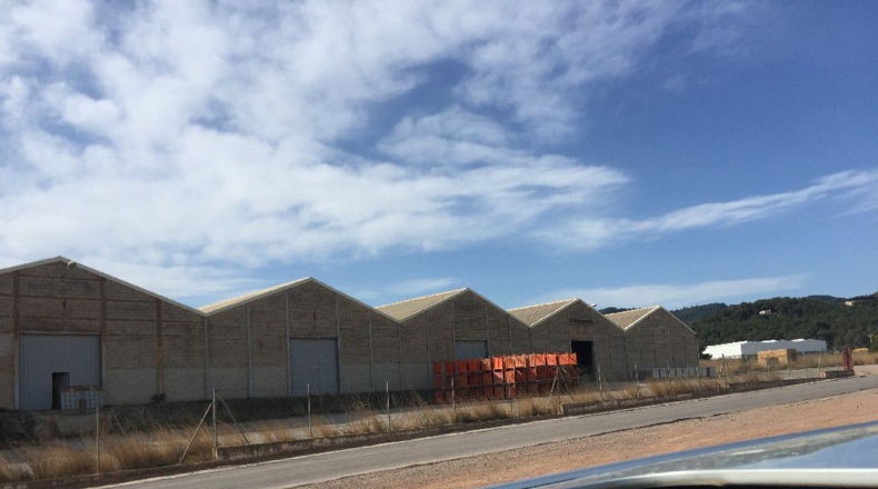 Castellón - Bechí - 108000m2