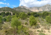 Parcel·la urbanitzable en venda a Orpesa ref.: TR21780 foto