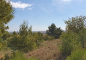 Terreny no urbanitzable en venda a Castelló de la Plana ref.: TR15647 foto