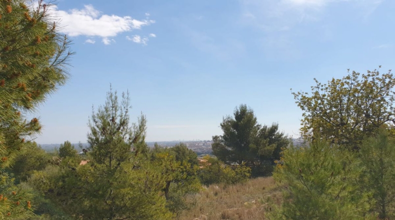 Castellón - Castelló de la Plana - 13959m2