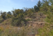 Terreny no urbanitzable en venda a Castelló de la Plana ref.: TR15647 foto