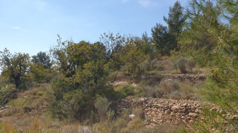 Castellón - Castelló de la Plana - 13959m2