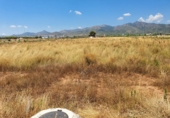 Sòl urbà en venda a Nules ref.: TR36442 foto