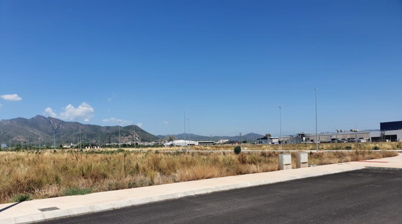 Castellón - Nules - 8525m2