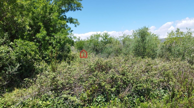 Castellón - Alcalá de Chivert - 10891m2
