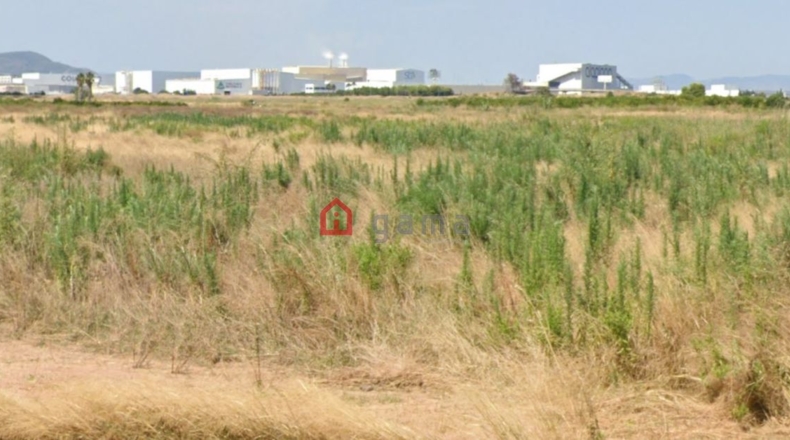 Castellón - Platja de Xilxes - 1179m2