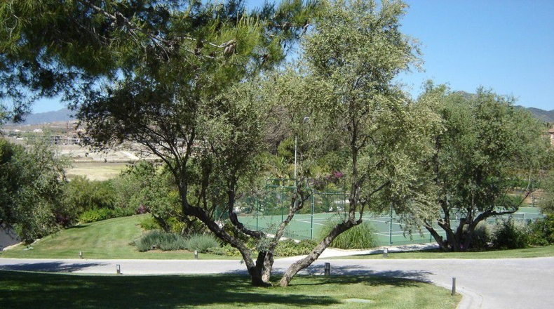 Málaga - San Pedro de Alcántara - 20100m2