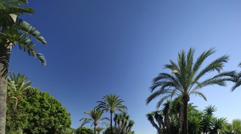 Málaga - Марбелья - 8100m2