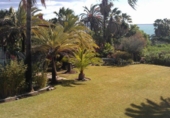 Vil·la amb terreny en venda a Estepona ref.: TR252027 foto