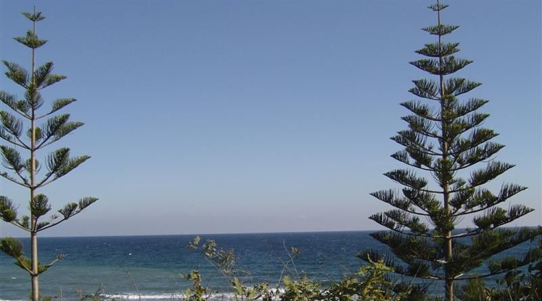 Málaga - Marbella - 2346m2