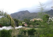 Vil·la amb terreny en venda a Marbella ref.: TR13919 foto