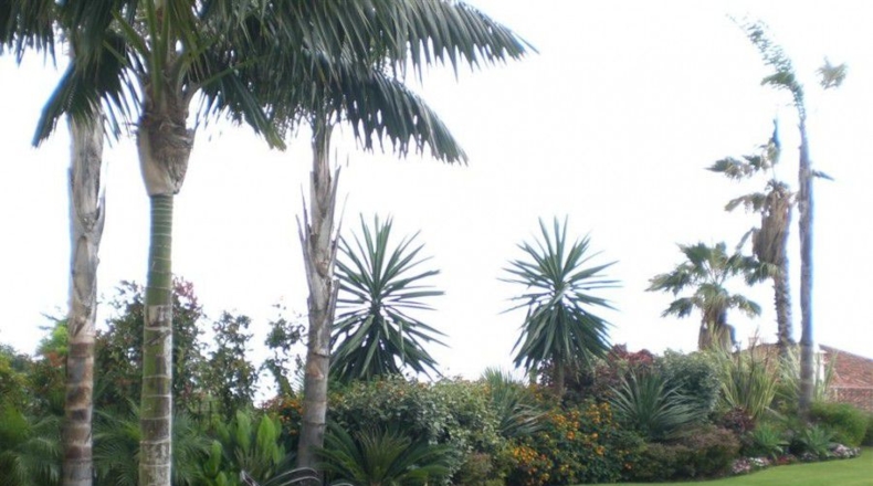 Málaga - Marbella - 1894m2