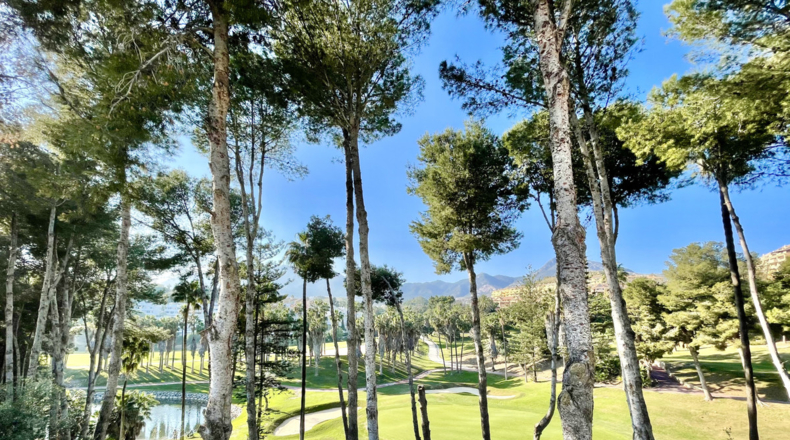 Málaga - Benalmádena - 3067m2