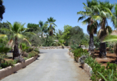 Villa con terreno en venta en Alhaurín el Grande ref: TR30398 foto