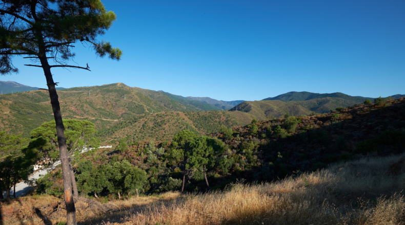 Málaga - El Paraíso Alto - 8801m2