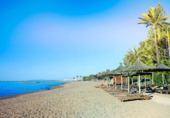 Terreny no urbanitzable en venda a Marbella ref.: TR386422 foto