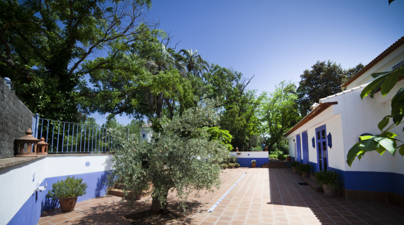 Málaga - Archidona - 25000m2