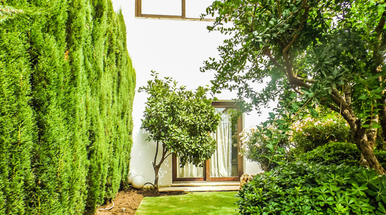 Málaga - Benahavís - 806m2